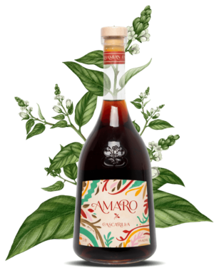 Cascarilla Amaro